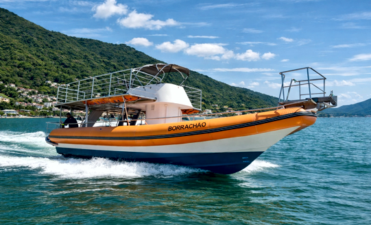 ChatGPT Image 3 de jan. de 2026, 10_20_32